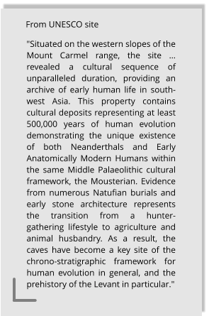 "Situated on the western slopes of the Mount Carmel range, the site … revealed a cultural sequence of unparalleled duration, providing an archive of early human life in south-west Asia. This property contains cultural deposits representing at least 500,000 years of human evolution demonstrating the unique existence of both Neanderthals and Early Anatomically Modern Humans within the same Middle Palaeolithic cultural framework, the Mousterian. Evidence from numerous Natufian burials and early stone architecture represents the transition from a hunter-gathering lifestyle to agriculture and animal husbandry. As a result, the caves have become a key site of the chrono-stratigraphic framework for human evolution in general, and the prehistory of the Levant in particular."   From UNESCO site