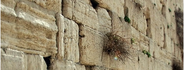 Jerusalem - the wailing wall