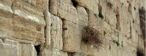 The wailing wall in Jerusalem